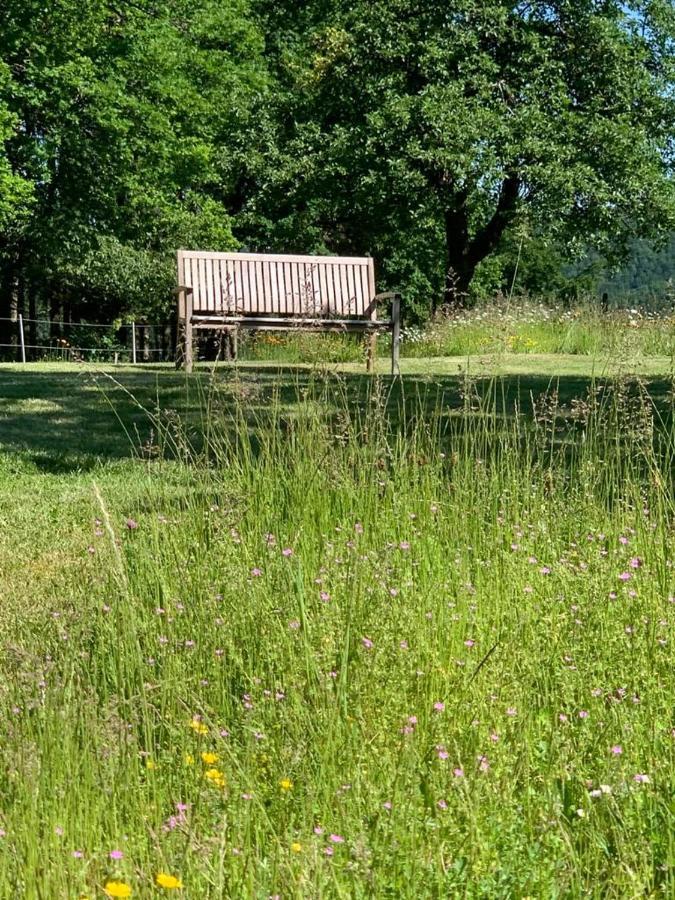 Urlaub Mit Hund Auf Dem Bauernhof Hofswald Apartamento Euscheid Exterior foto