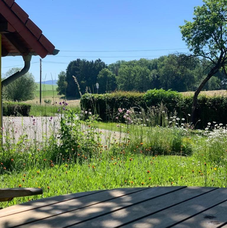 Urlaub Mit Hund Auf Dem Bauernhof Hofswald Apartamento Euscheid Exterior foto