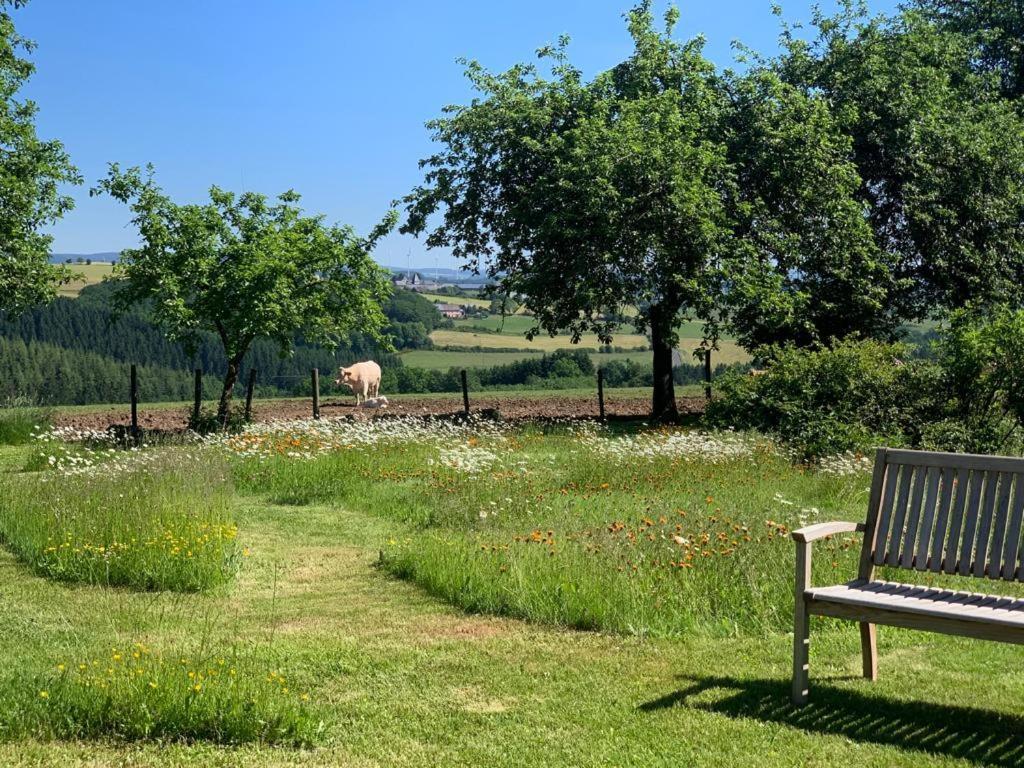 Urlaub Mit Hund Auf Dem Bauernhof Hofswald Apartamento Euscheid Exterior foto