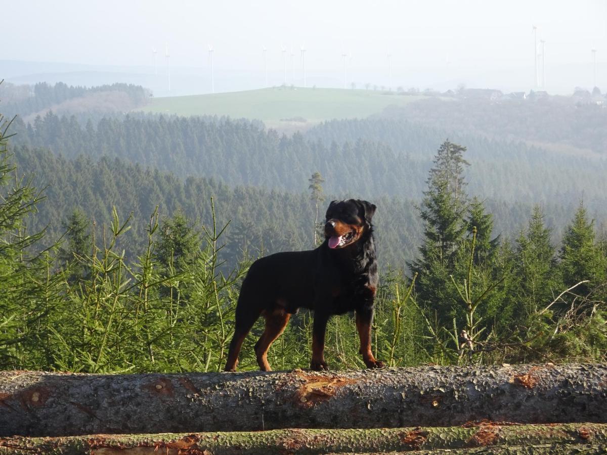 Urlaub Mit Hund Auf Dem Bauernhof Hofswald Apartamento Euscheid Exterior foto