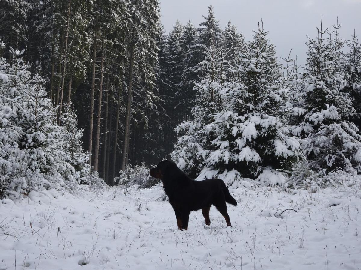 Urlaub Mit Hund Auf Dem Bauernhof Hofswald Apartamento Euscheid Exterior foto