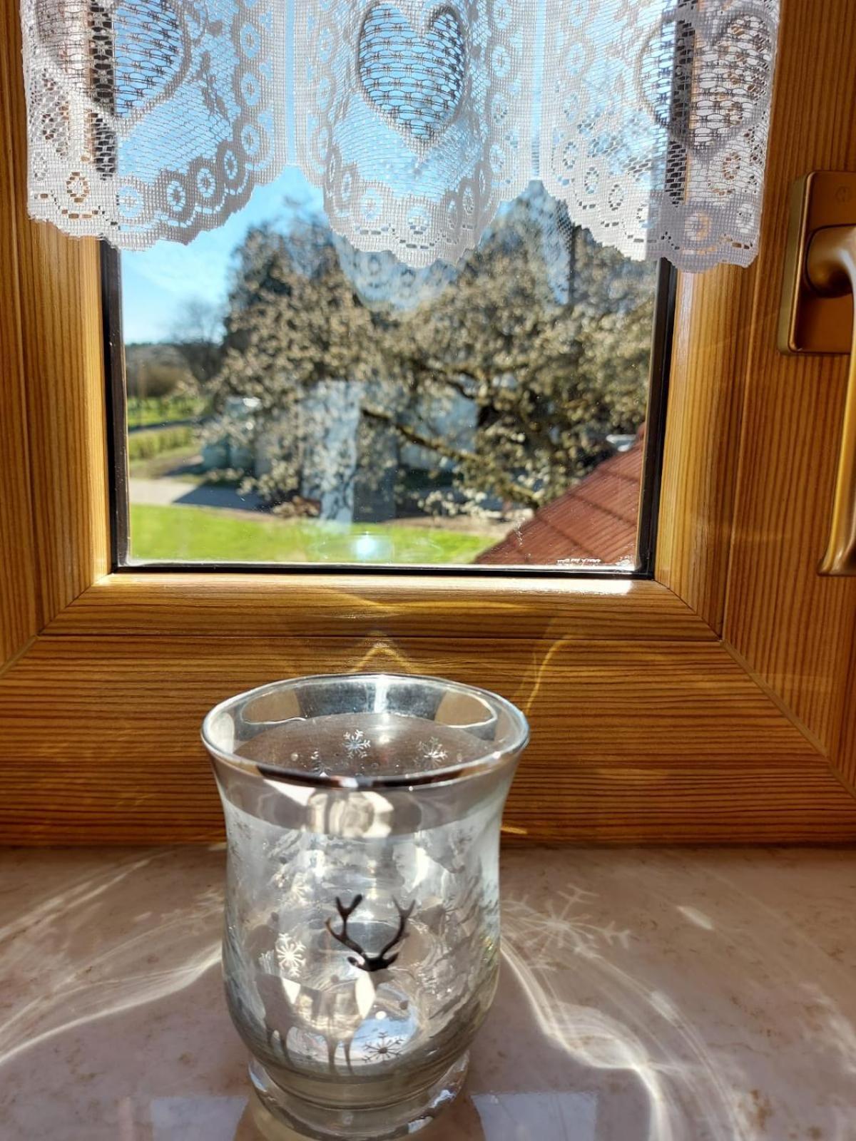 Urlaub Mit Hund Auf Dem Bauernhof Hofswald Euscheid Exterior foto